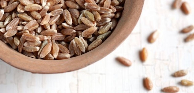 Olio di semi di lino: proprietà curative e benefici per pelle e capelli